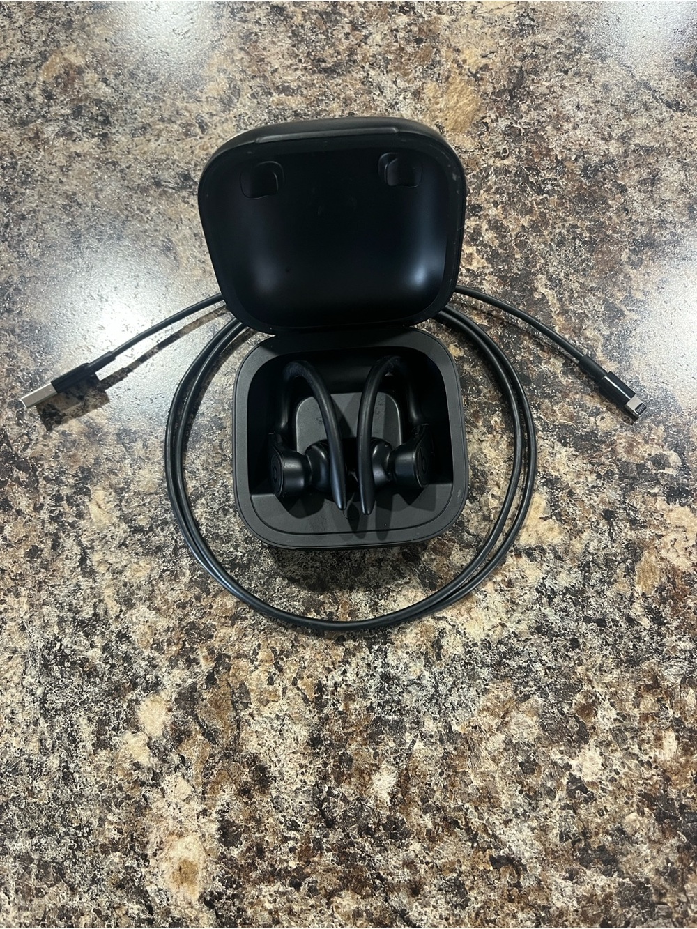Beats by Dre Powerbeats Pro Wireless Earbuds - Black